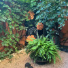 DE VANZARE APARTAMENT 3 CAMERE AVANGARDE CURTE- GRADINA 2 LOCURI PARCARE MOBILAT thumb 4