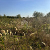 Teren intravilan – Popești-Leordeni - 500 mp, deschidere 13 thumb 2