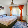 Apartament 2 camere - Parcul Circului thumb 3