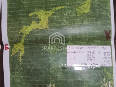 Teren 25 ha cu Izvor Sulfuros în Bălilești - Argeș - Comision 0%