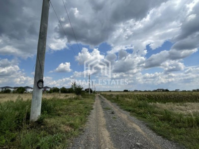 VANZARE TEREN CIOROGARLA - ZONA DEZVOLTATA 3500 MP ACCES RAPID LACULUI