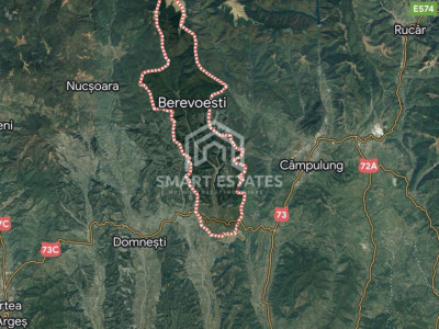 Berevoești - Jud. Argeș - Teren Intravilan 14.400 mp - Comision 0%
