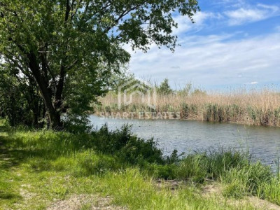 SNAGOV Gruiu Teren 1000 MP d 24 m la lac - pozitie excelenta