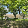 SNAGOV Gruiu Teren 1000 MP d 24 m la lac - pozitie excelenta thumb 6