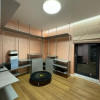 Apartament elegant 4 camere  in One Herastrau Towers thumb 16