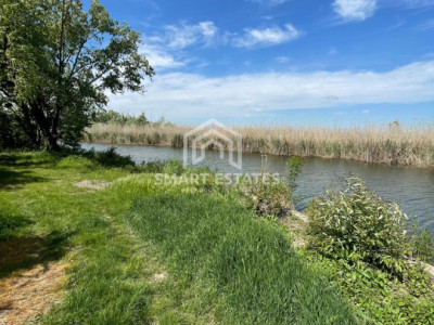 Lacul Snagov- Gruiu | Teren 1000 MP | d 24 m la lac | Pozitie excelenta