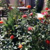 Popesti - Vila 6 camere - Curte Mare thumb 11
