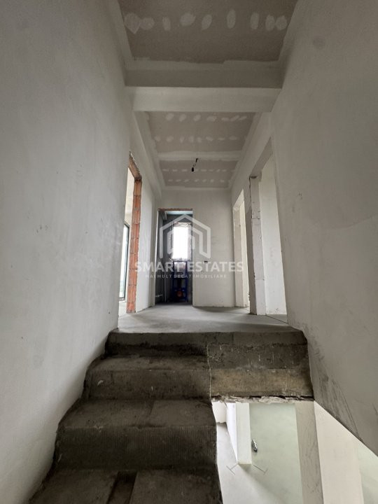 Case de vanzare Domnesti Exterior Sud 7