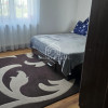 Apartament 3 camere comuna 1 decembrie centrala thumb 10