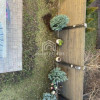 Vilă Modernă Tip Duplex cu Foișor - Trapezului - Sector 3 thumb 44
