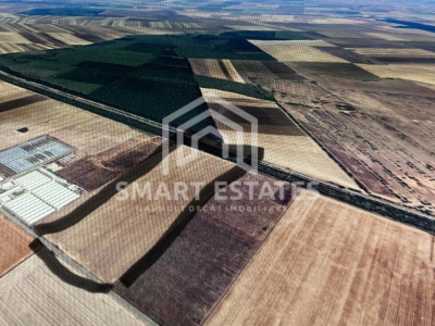 Teren investiție 150.000 mp Băneasa,Giurgiu–agricultura/fotovoltaice