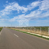 Teren investiție 150.000 mp Băneasa,Giurgiu–agricultura/fotovoltaice thumb 3