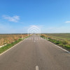 Teren investiție 150.000 mp Băneasa,Giurgiu–agricultura/fotovoltaice thumb 4