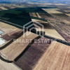 Teren investiție 150.000 mp Băneasa,Giurgiu- AGRICOL / FOTOVOLTAICE thumb 1